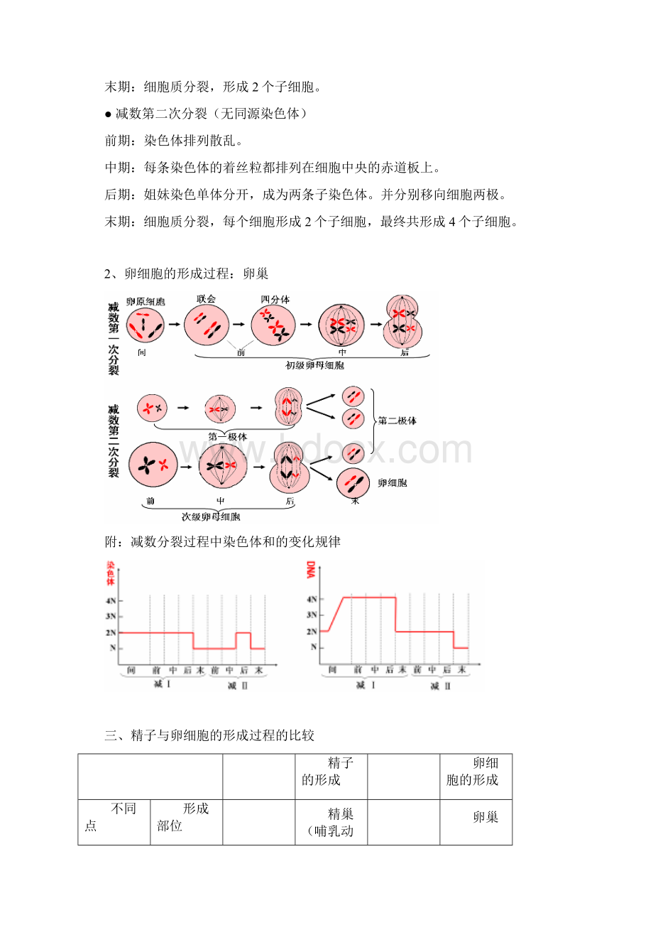 高中生物必修二知识点总结精华版.docx_第2页