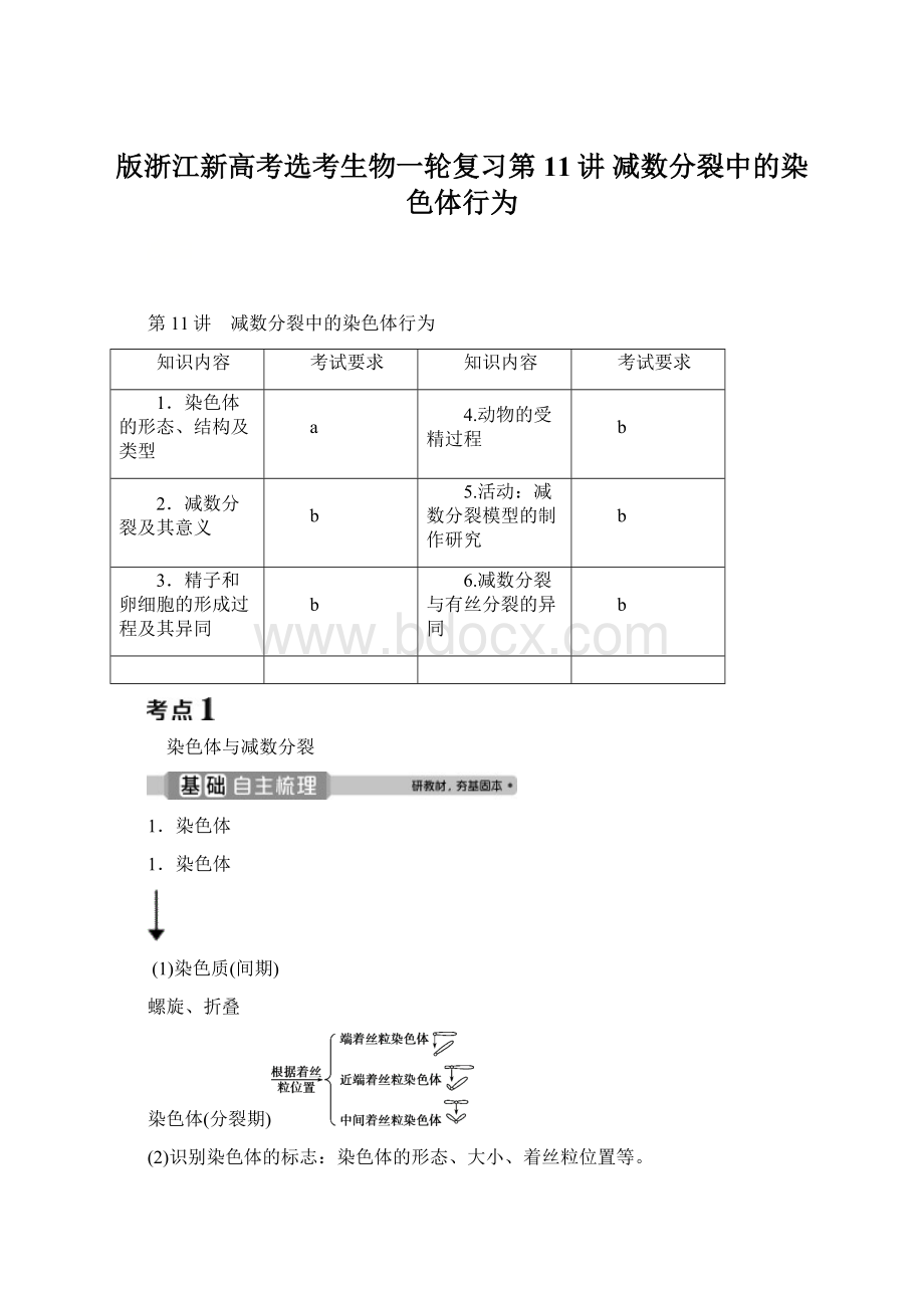 版浙江新高考选考生物一轮复习第11讲 减数分裂中的染色体行为.docx