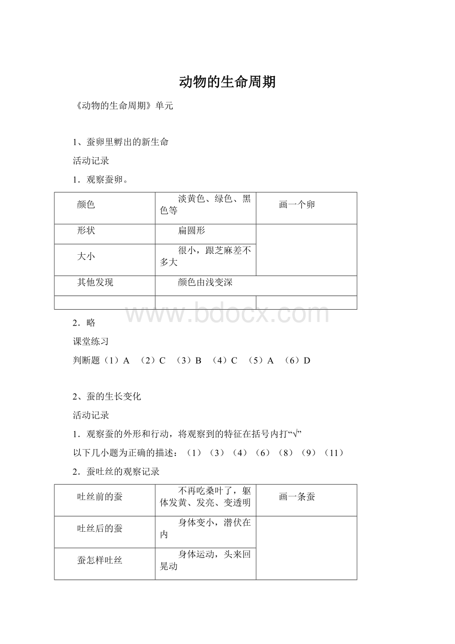 动物的生命周期.docx_第1页