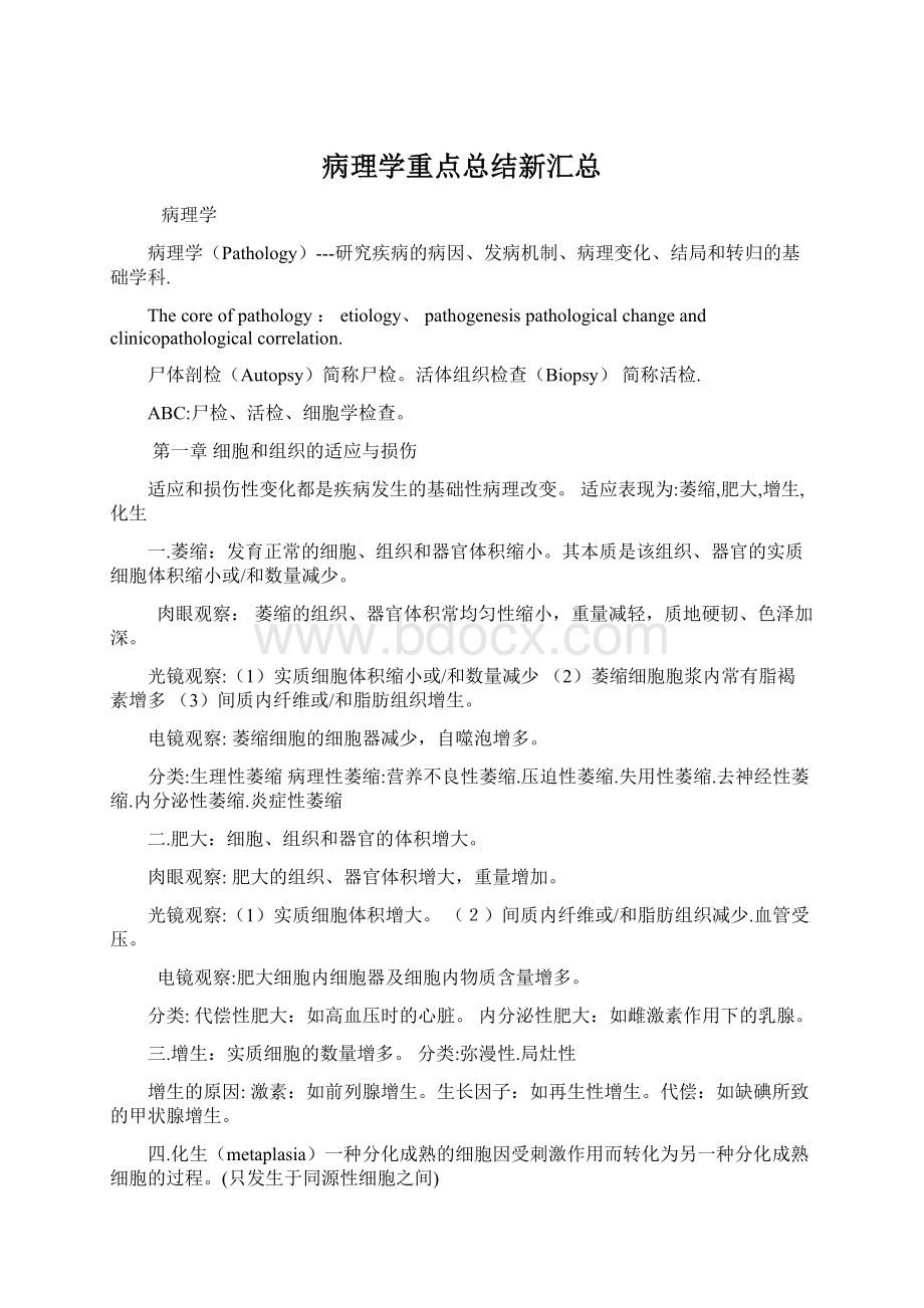 病理学重点总结新汇总文档格式.docx