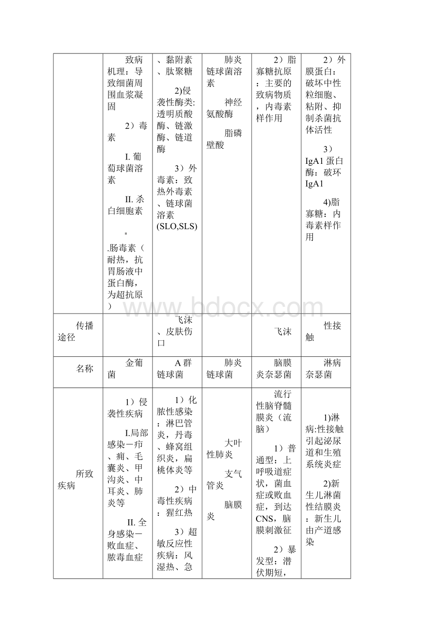 细菌比较表格Word格式.docx_第3页