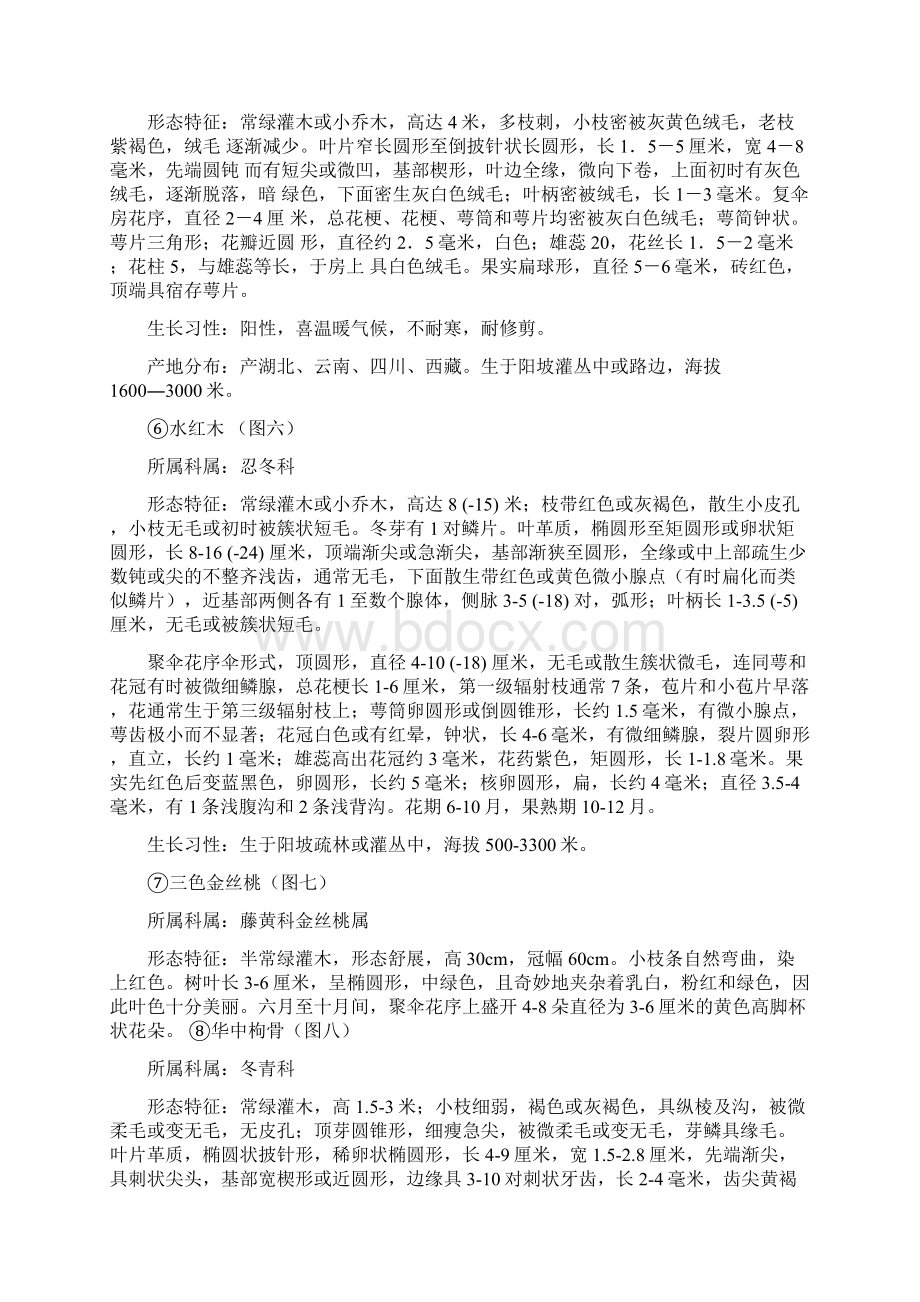 参观植物园实习报告心得体会优质文档.docx_第3页