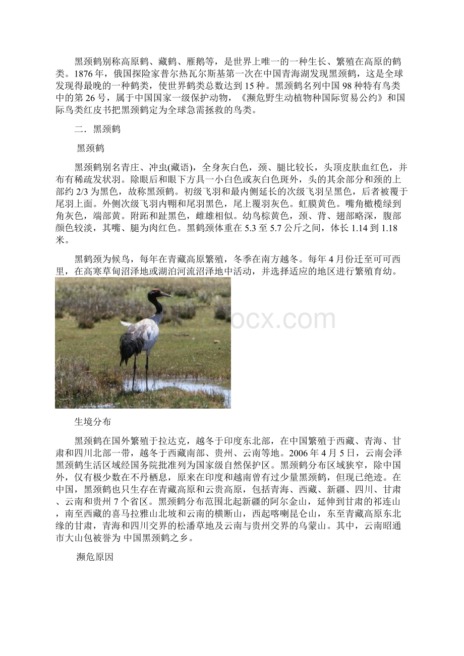 保护动物鸟类.docx_第2页