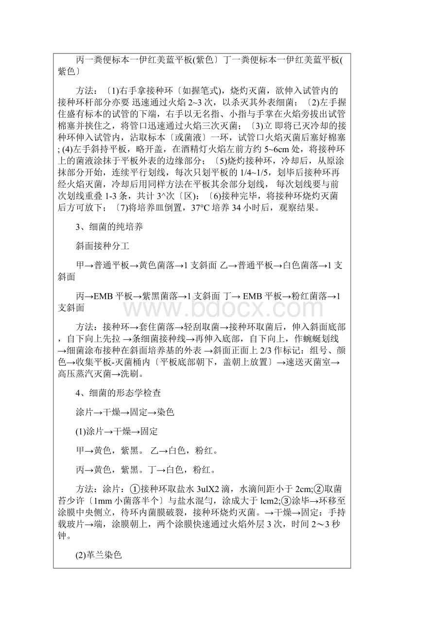 医学微生物学实验报告Word格式文档下载.docx_第3页