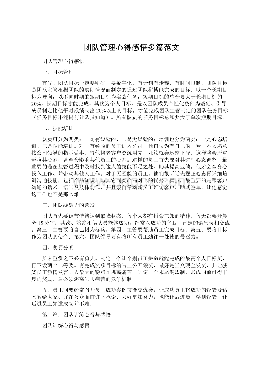 团队管理心得感悟多篇范文Word格式文档下载.docx