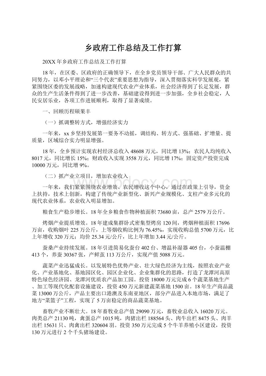 乡政府工作总结及工作打算.docx_第1页