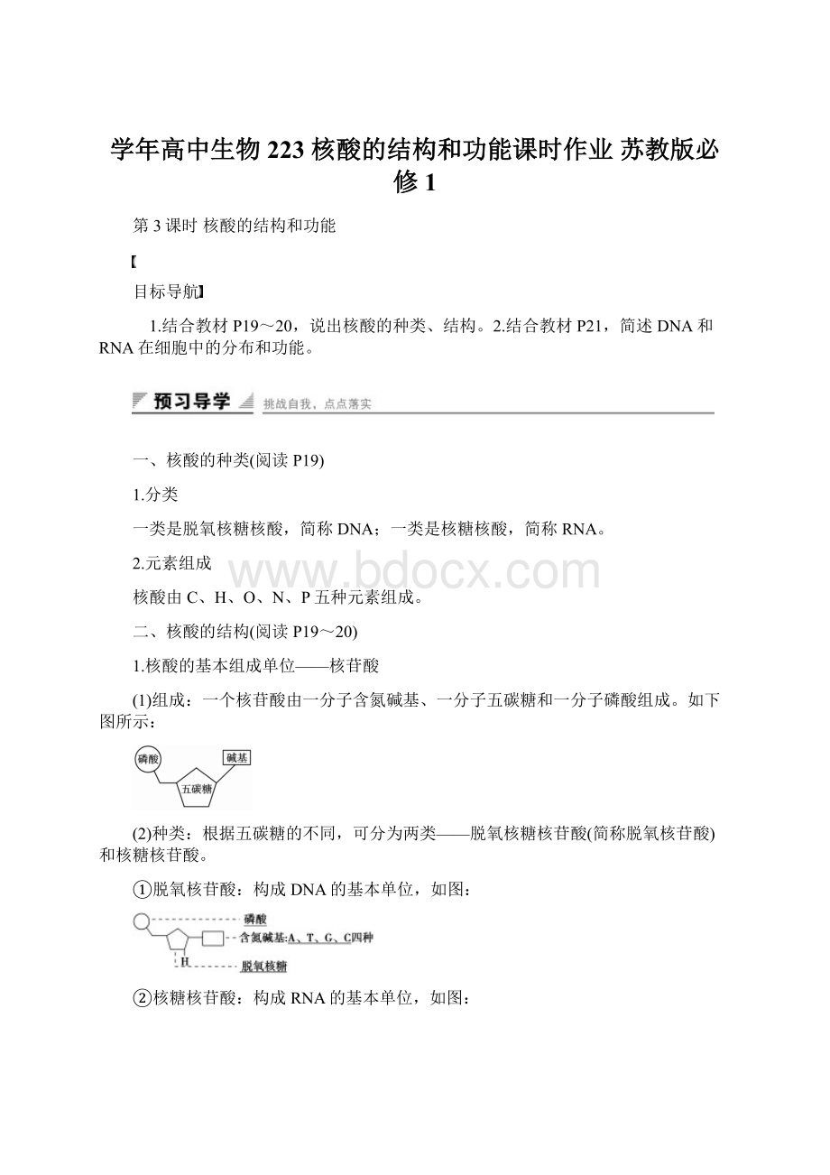 学年高中生物 223 核酸的结构和功能课时作业 苏教版必修1.docx