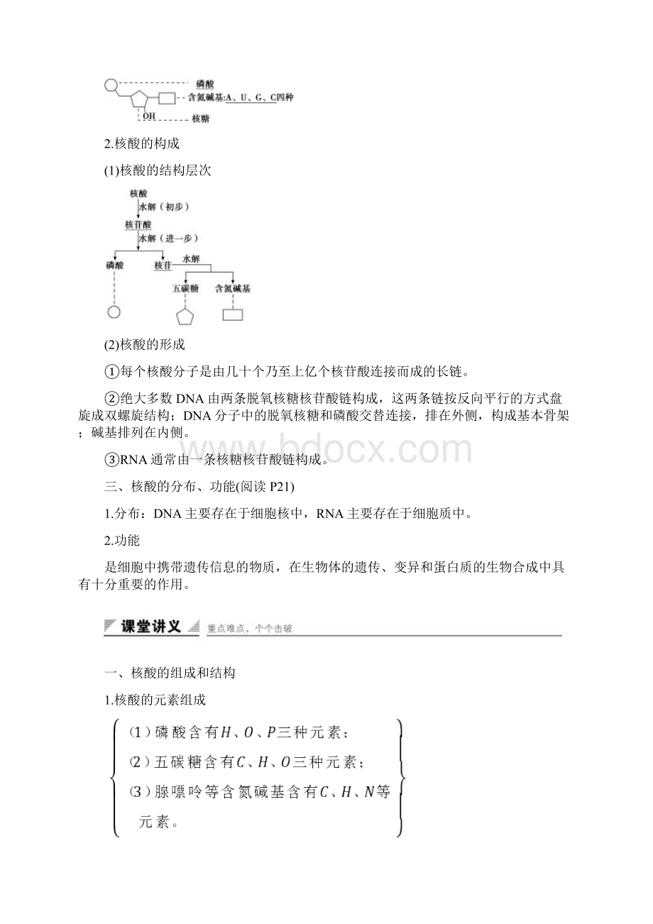 学年高中生物 223 核酸的结构和功能课时作业 苏教版必修1.docx_第2页