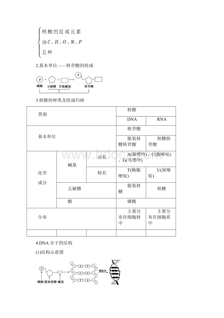 学年高中生物 223 核酸的结构和功能课时作业 苏教版必修1.docx_第3页