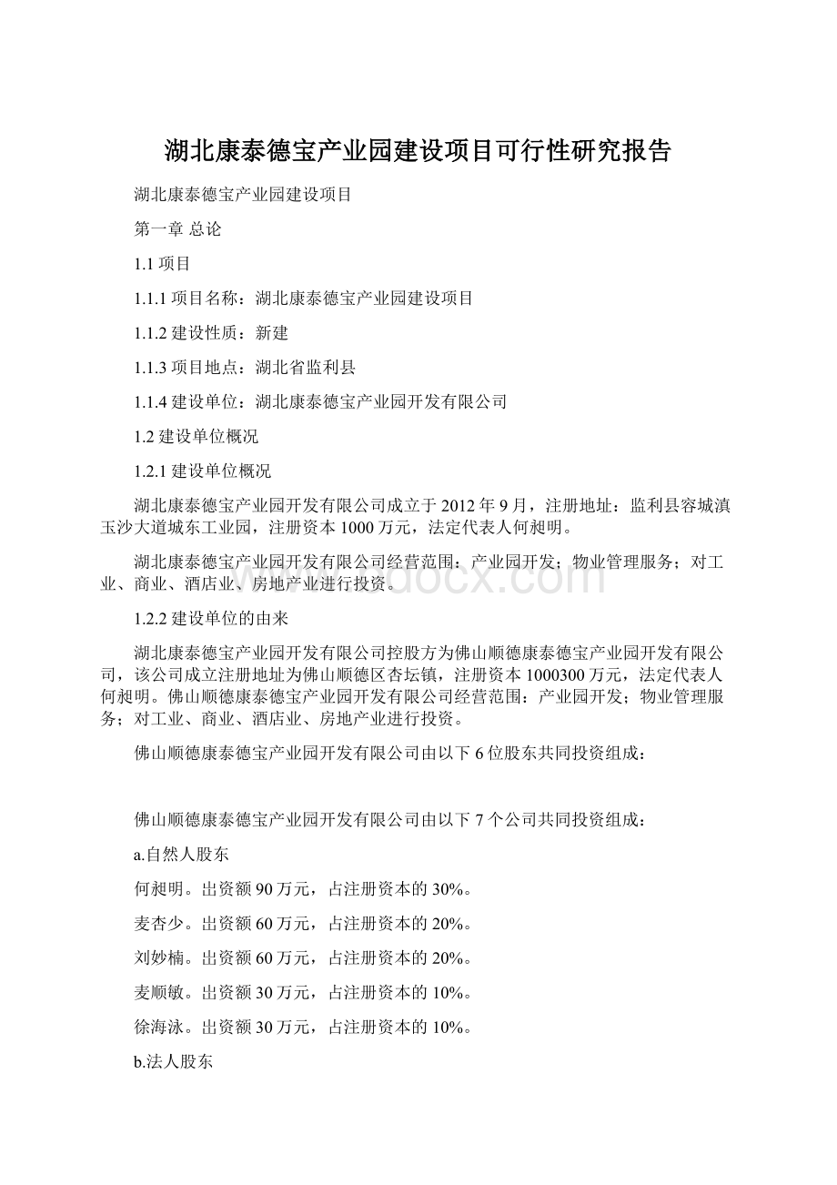 湖北康泰德宝产业园建设项目可行性研究报告.docx