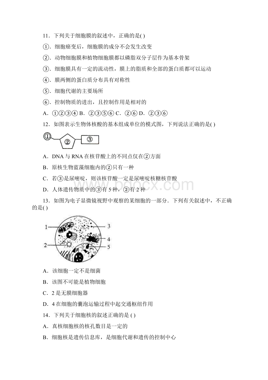 辽宁省抚顺市六校联合体高一上学期期末考试生物试题Word格式文档下载.docx_第3页