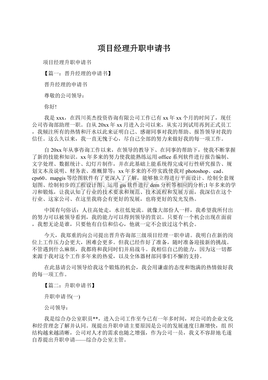 项目经理升职申请书Word文档下载推荐.docx