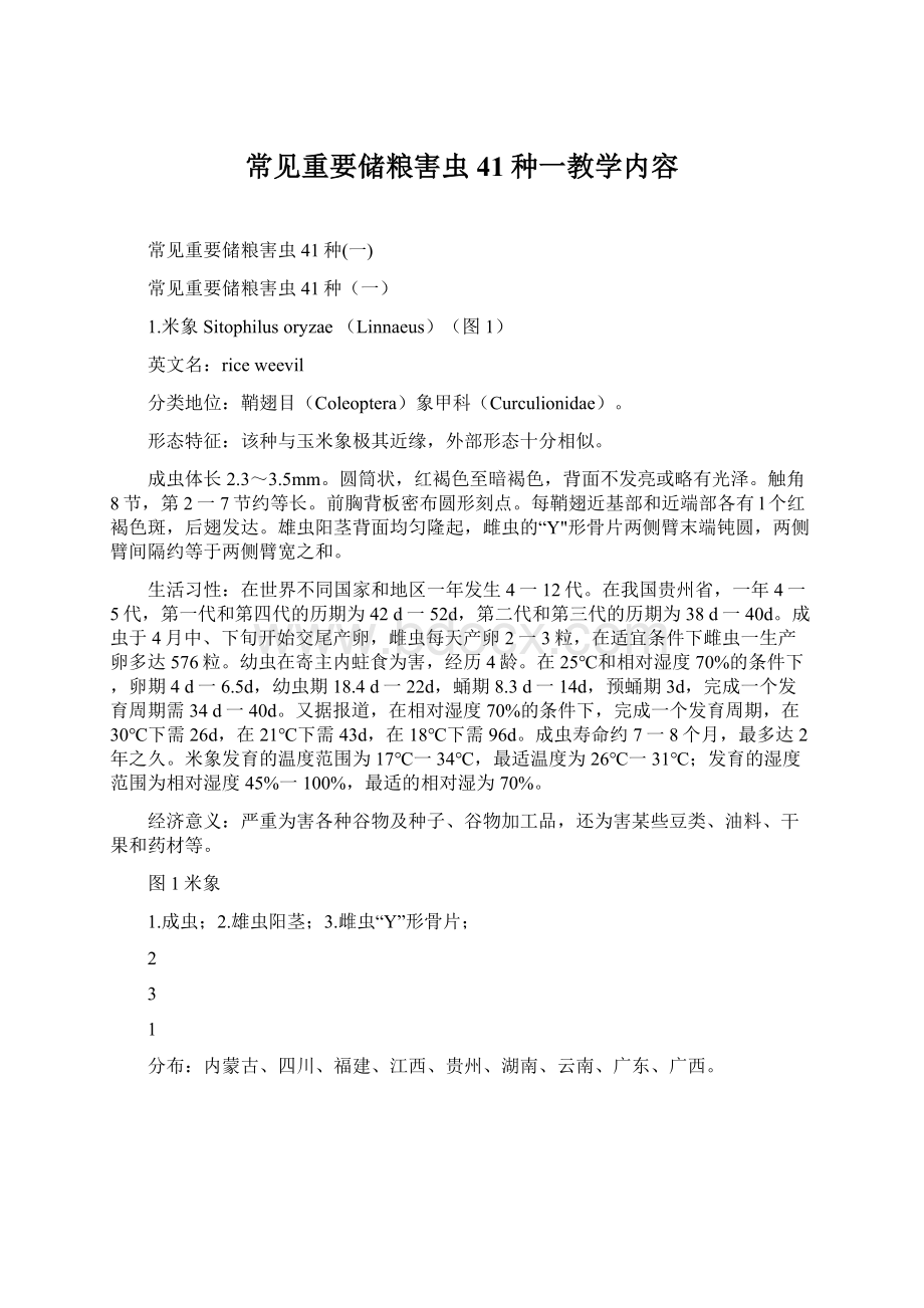 常见重要储粮害虫41种一教学内容.docx_第1页