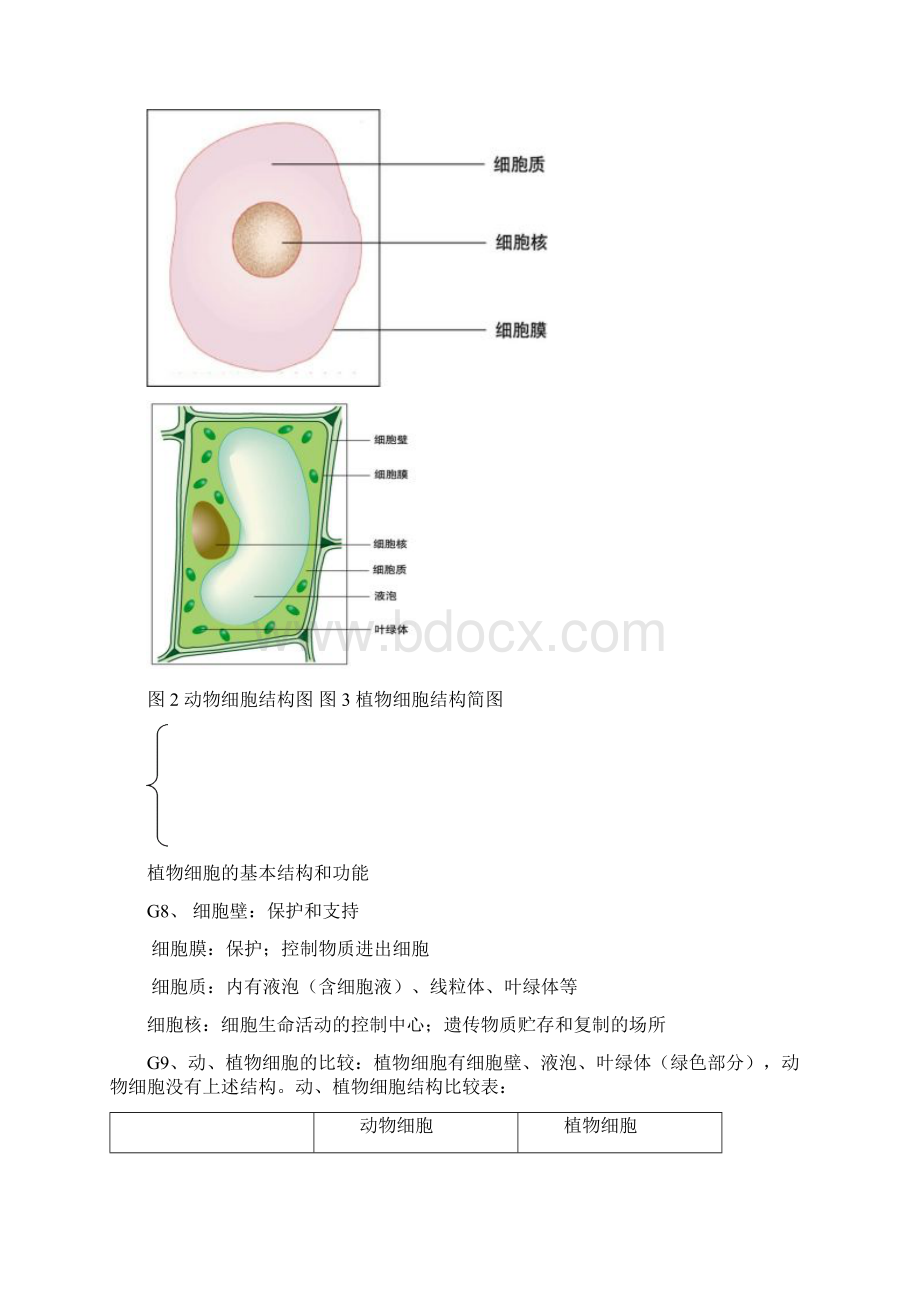 5A文生物中考复习资料大全归纳总结Word格式.docx_第3页