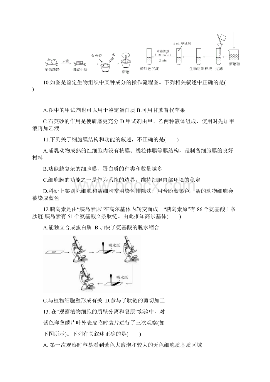 新疆兵地学年高一生物上学期期末联考试题2Word格式文档下载.docx_第3页