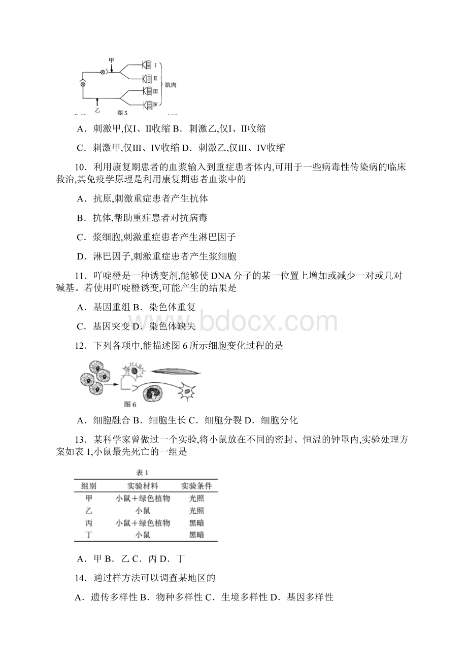 上海市嘉定区普通高中届高三毕业班等级考第二次质量调研测试二模生物试题及答案.docx_第3页