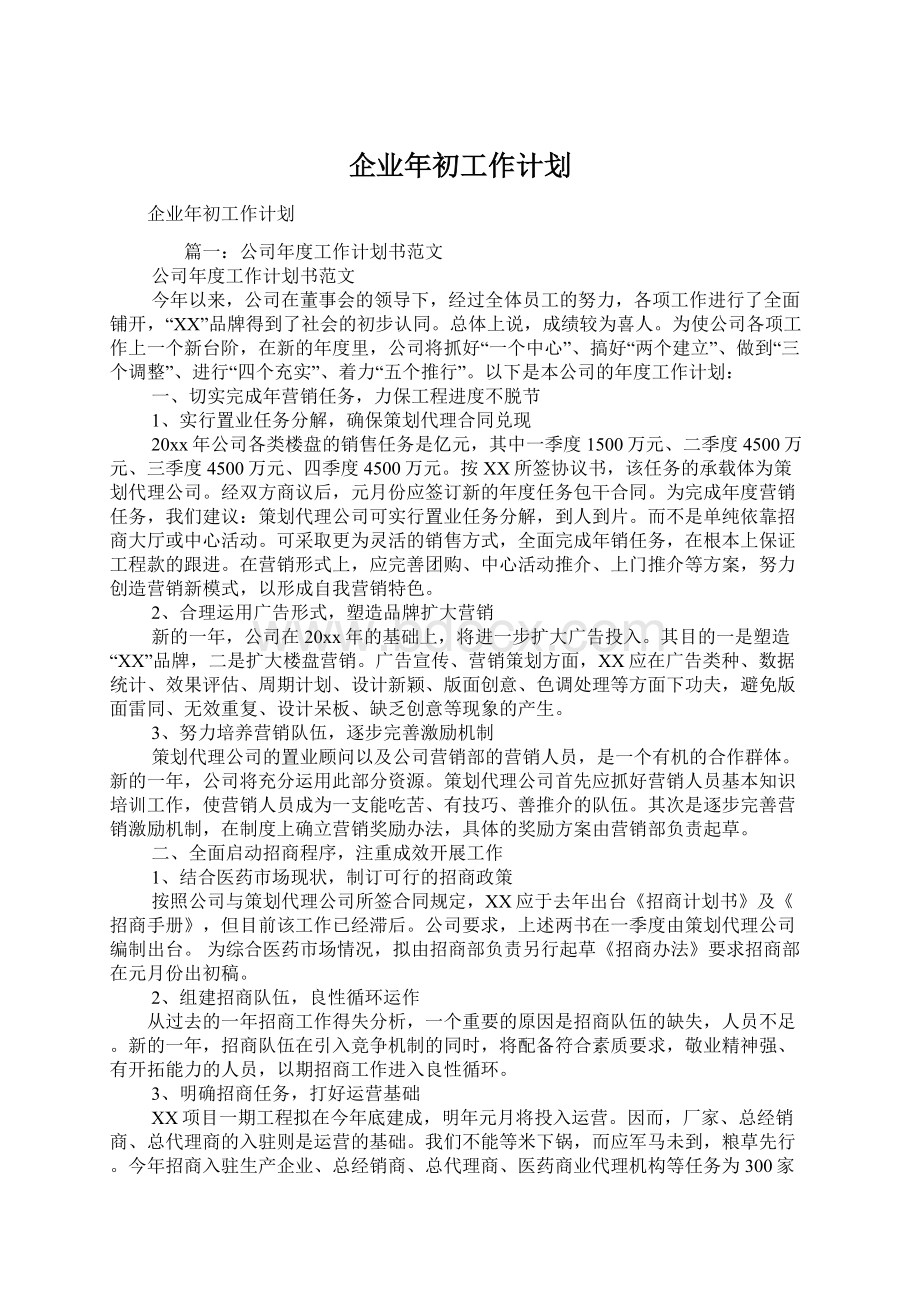 企业年初工作计划.docx_第1页