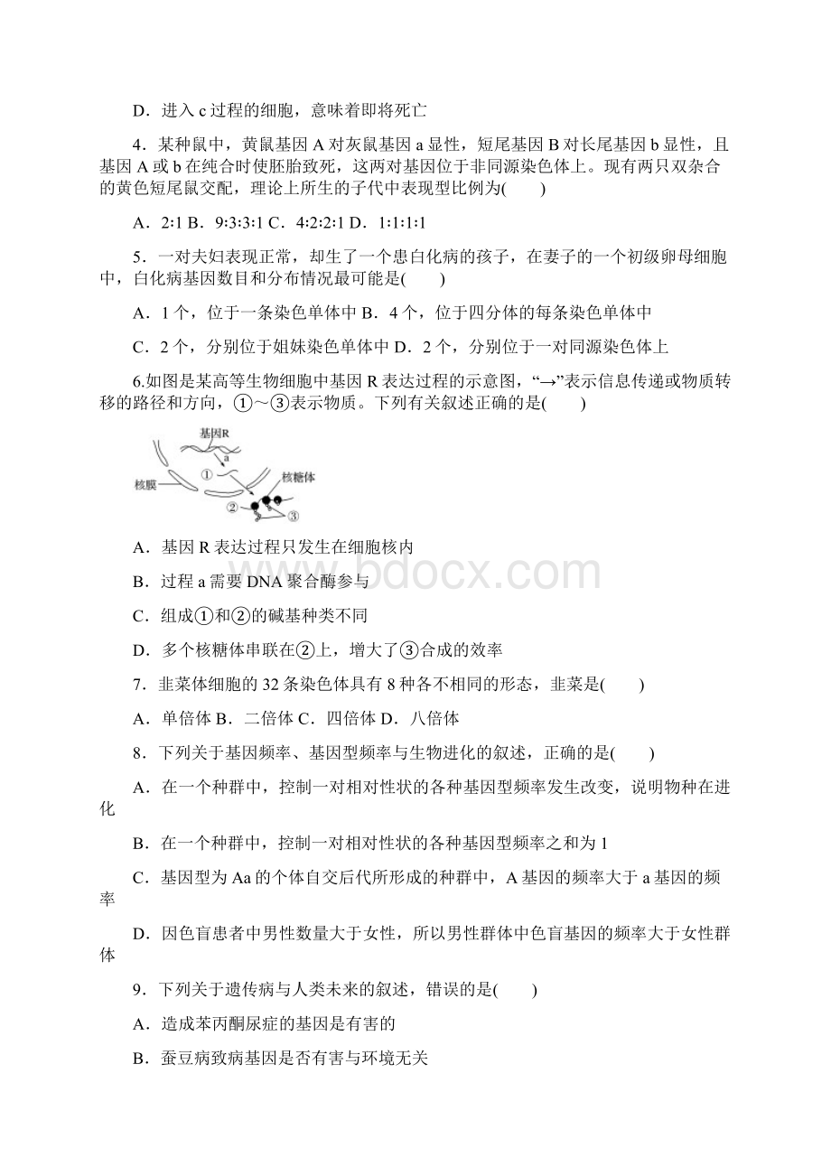 版浙江学业水平考试生物 仿真模拟2.docx_第2页