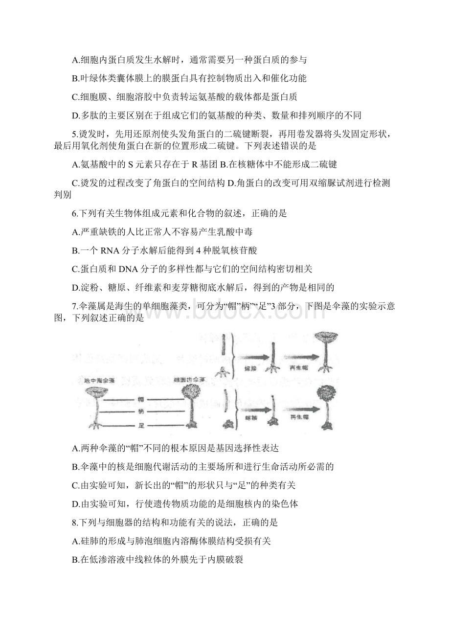 届河北省衡水中学高三上学期期中考试 生物Word文件下载.docx_第2页