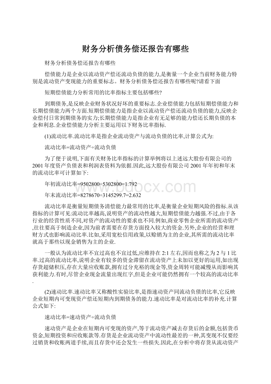 财务分析债务偿还报告有哪些文档格式.docx