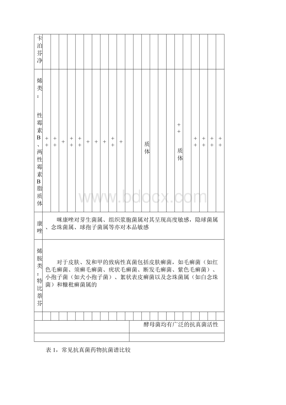 常见抗真菌药物比较.docx_第2页