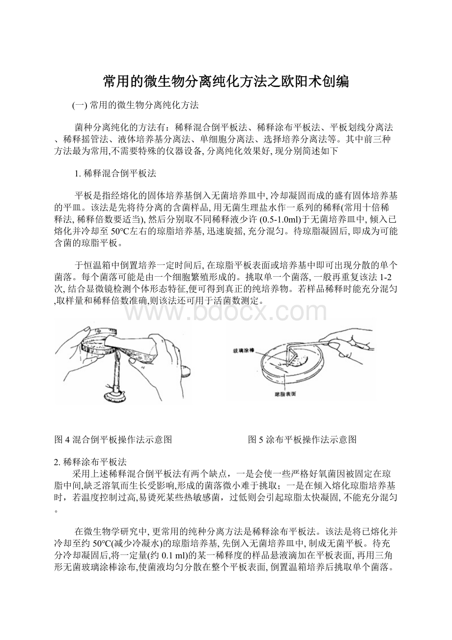 常用的微生物分离纯化方法之欧阳术创编.docx_第1页