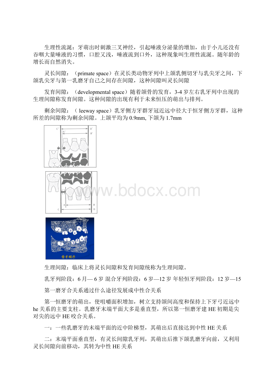 儿牙总结Word格式.docx_第2页