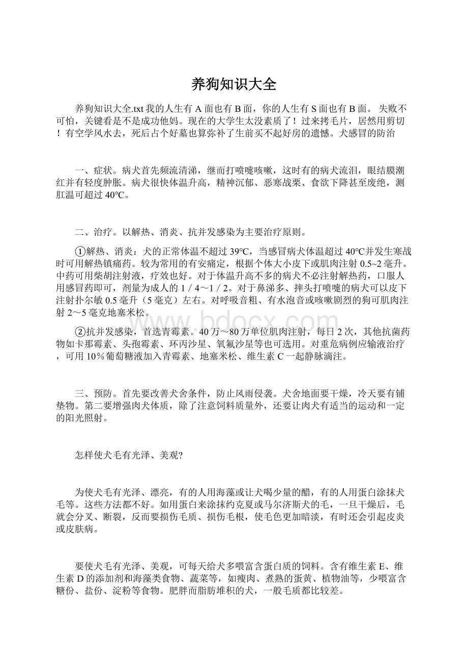 养狗知识大全Word文档格式.docx_第1页