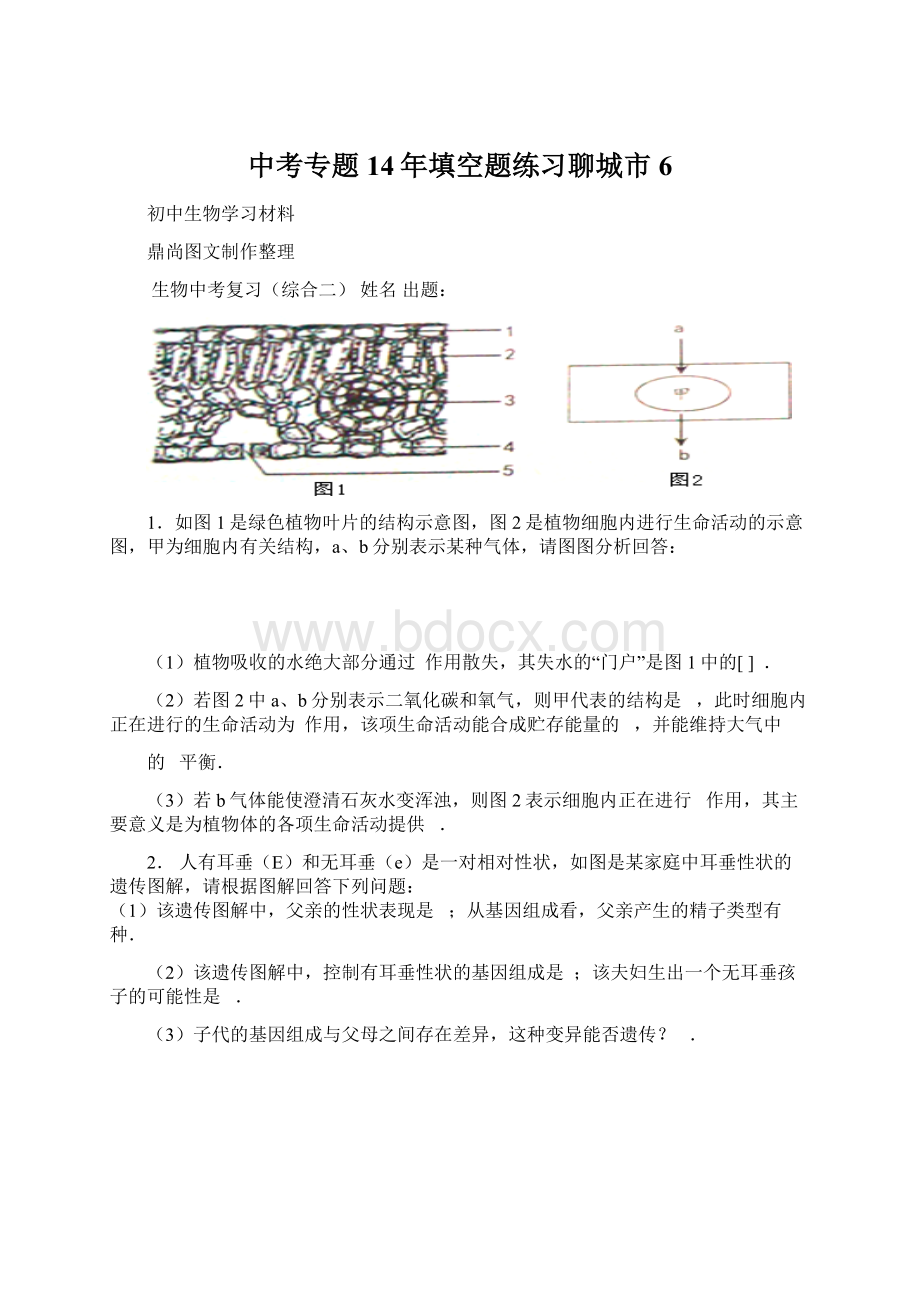 中考专题14年填空题练习聊城市 6.docx