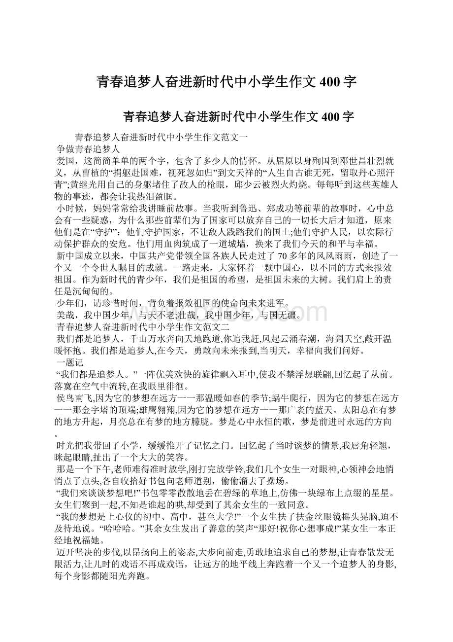 青春追梦人奋进新时代中小学生作文400字.docx