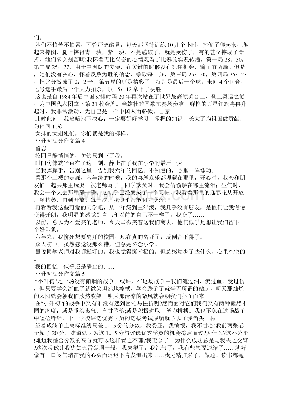 实用小升初满分作文集锦十篇Word文件下载.docx_第3页