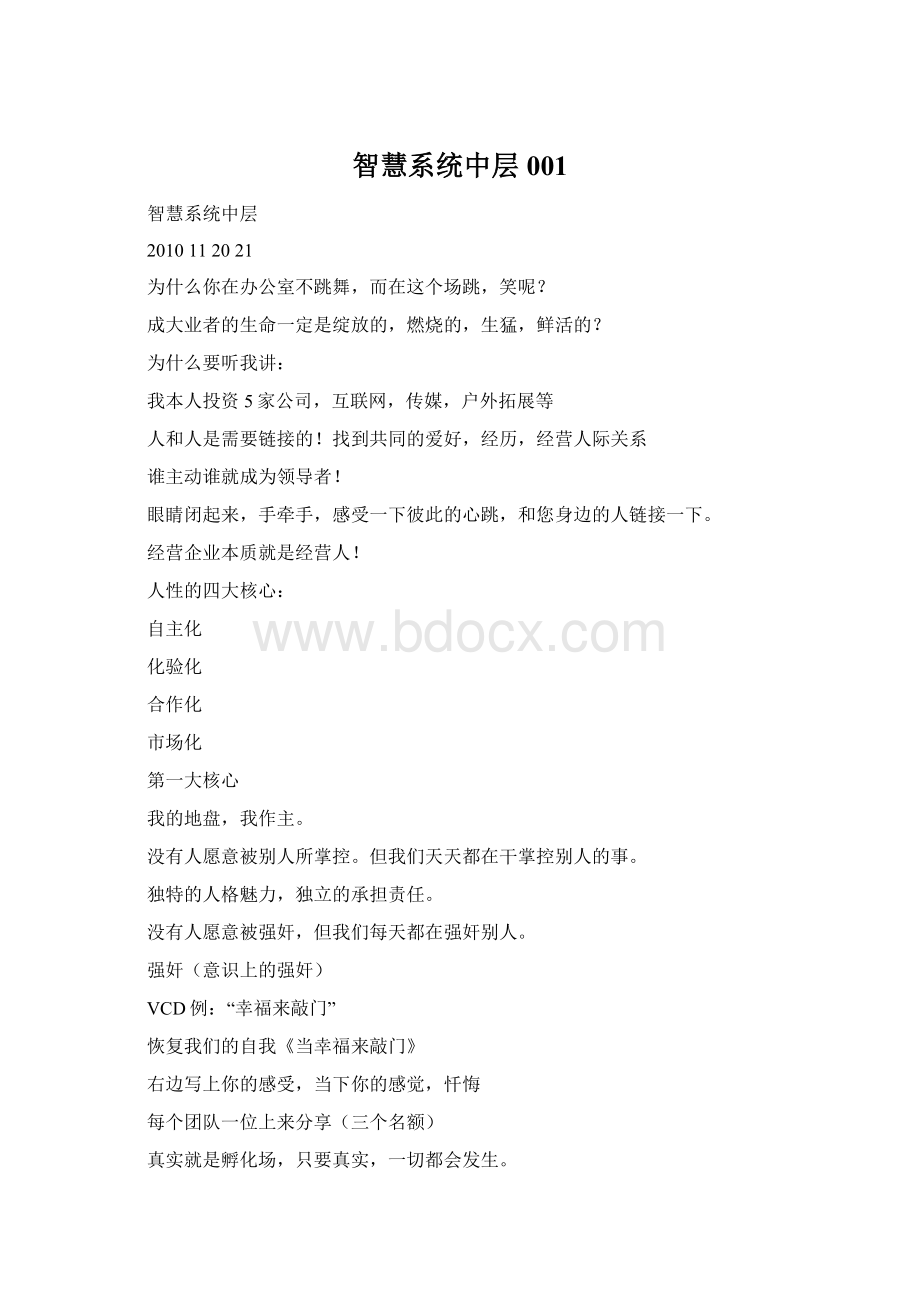 智慧系统中层001文档格式.docx