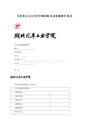 马克思主义与当代中国实践 社会实践报告格式Word下载.docx