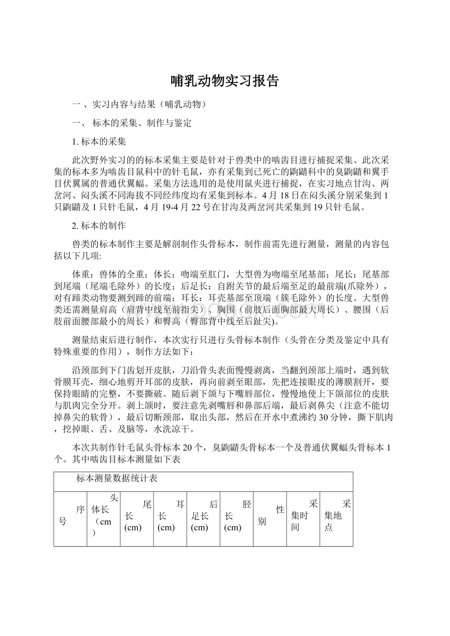 哺乳动物实习报告Word文档下载推荐.docx