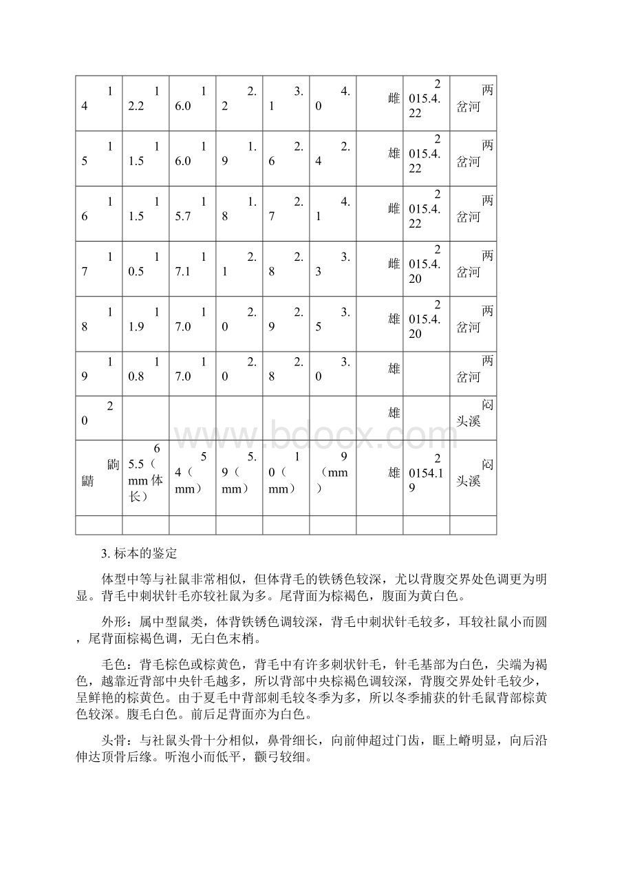 哺乳动物实习报告.docx_第3页