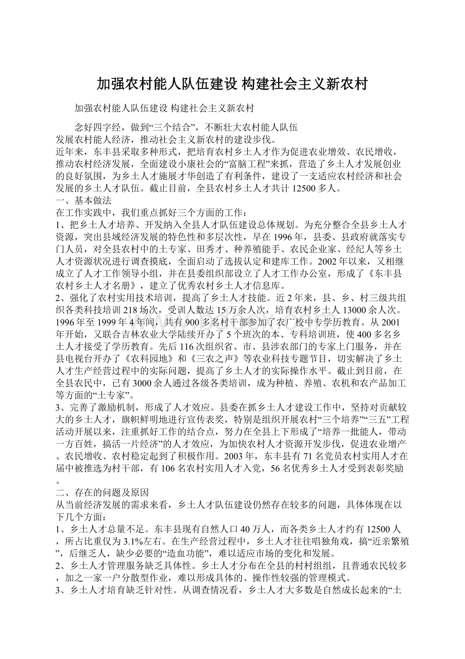 加强农村能人队伍建设 构建社会主义新农村Word文档下载推荐.docx