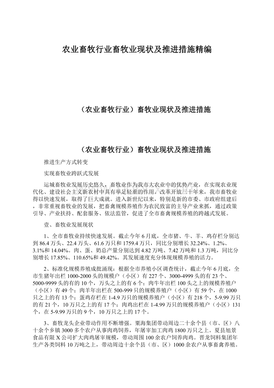 农业畜牧行业畜牧业现状及推进措施精编文档格式.docx