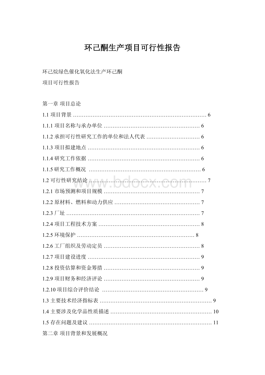 环己酮生产项目可行性报告Word文档下载推荐.docx