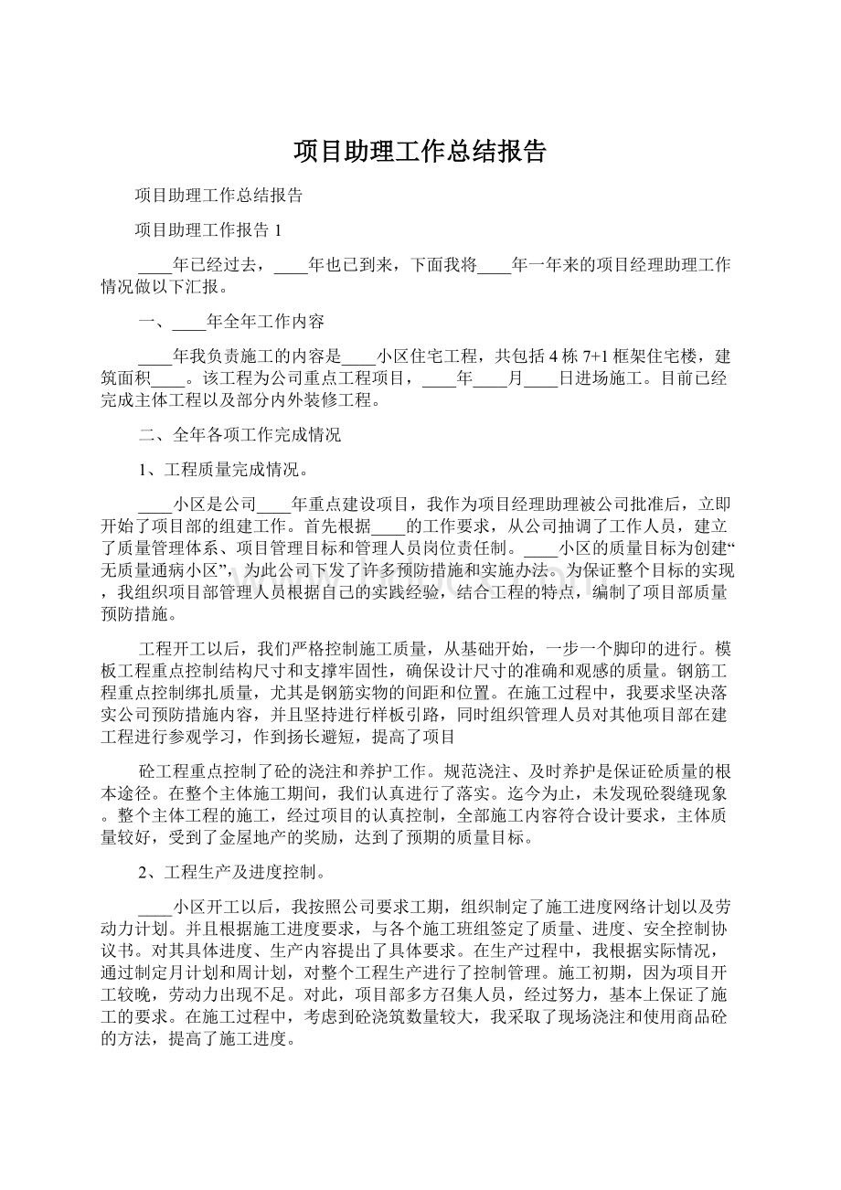 项目助理工作总结报告Word格式.docx_第1页