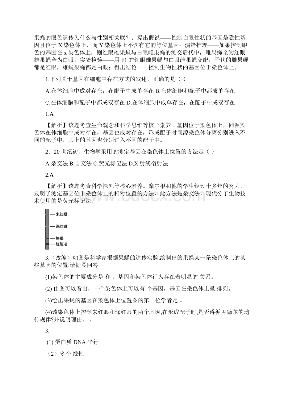 最新《基因在染色体上》同步练习Word格式文档下载.docx_第3页