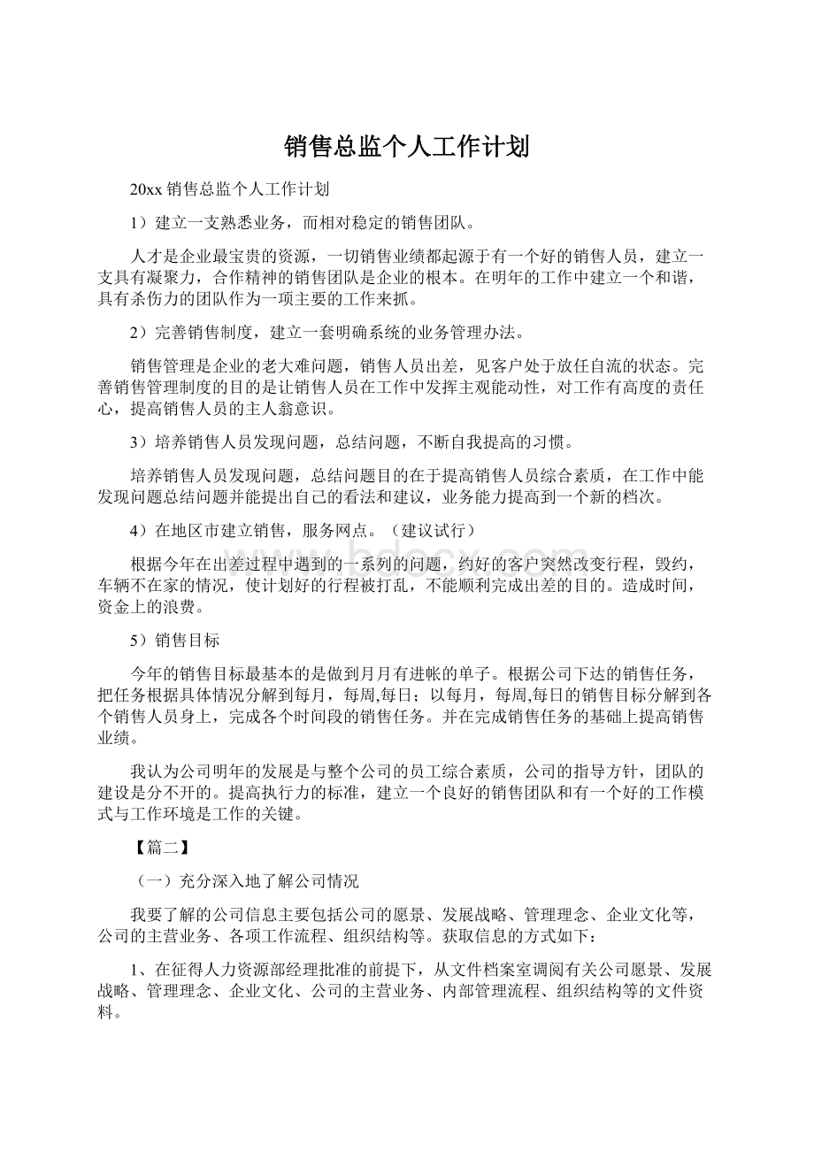 销售总监个人工作计划Word文档下载推荐.docx