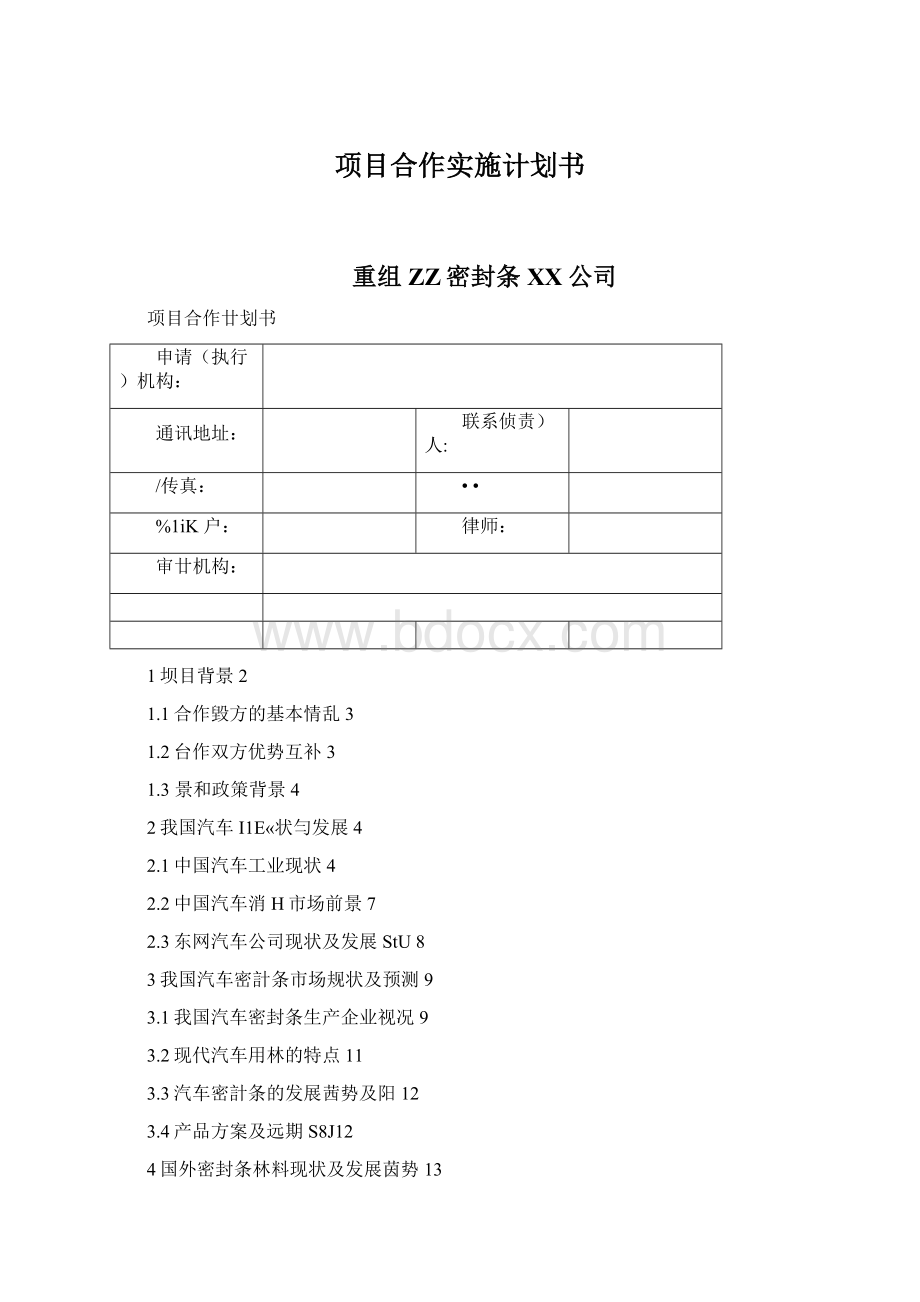 项目合作实施计划书Word格式.docx_第1页