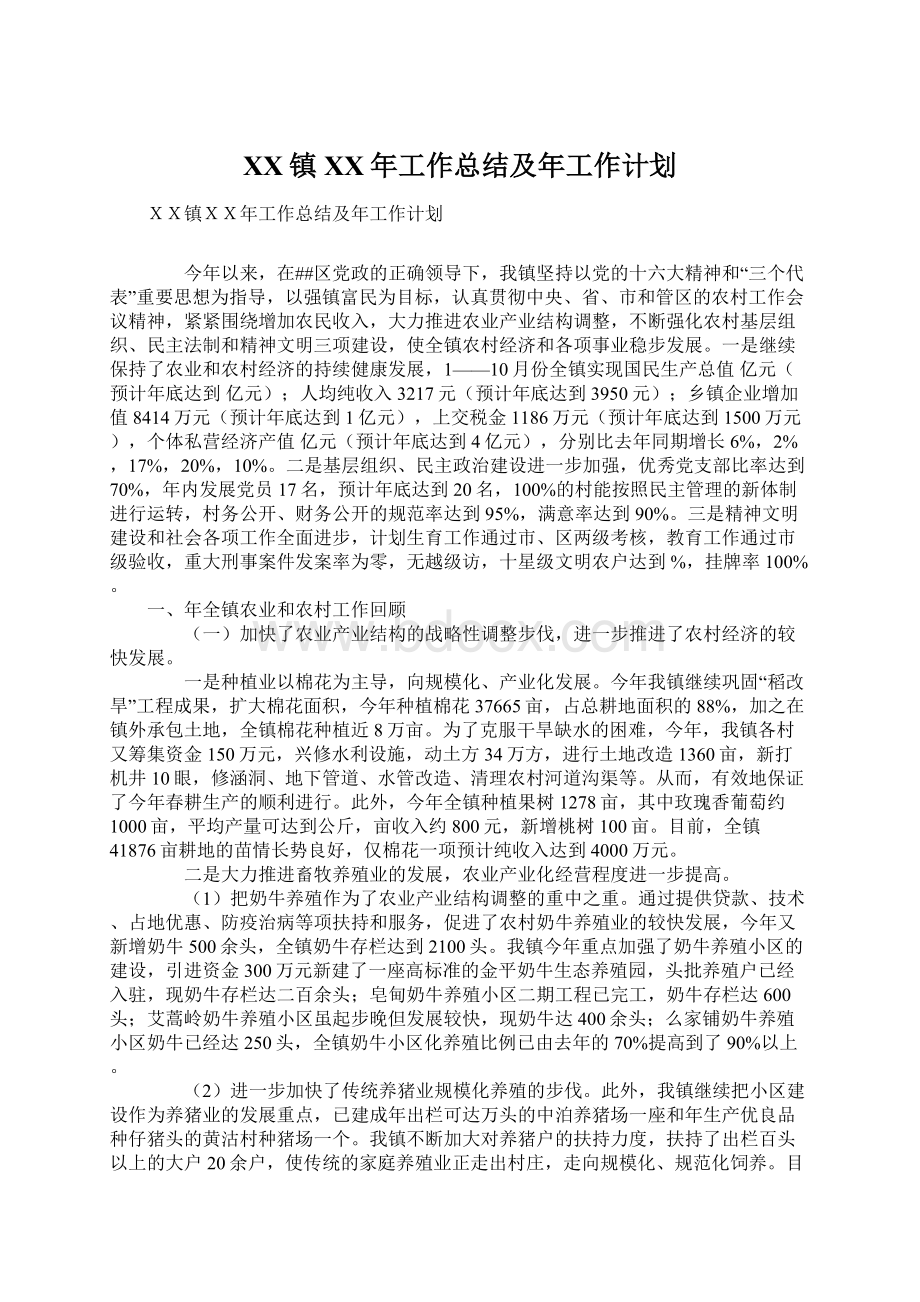 XX镇XX年工作总结及年工作计划Word格式.docx