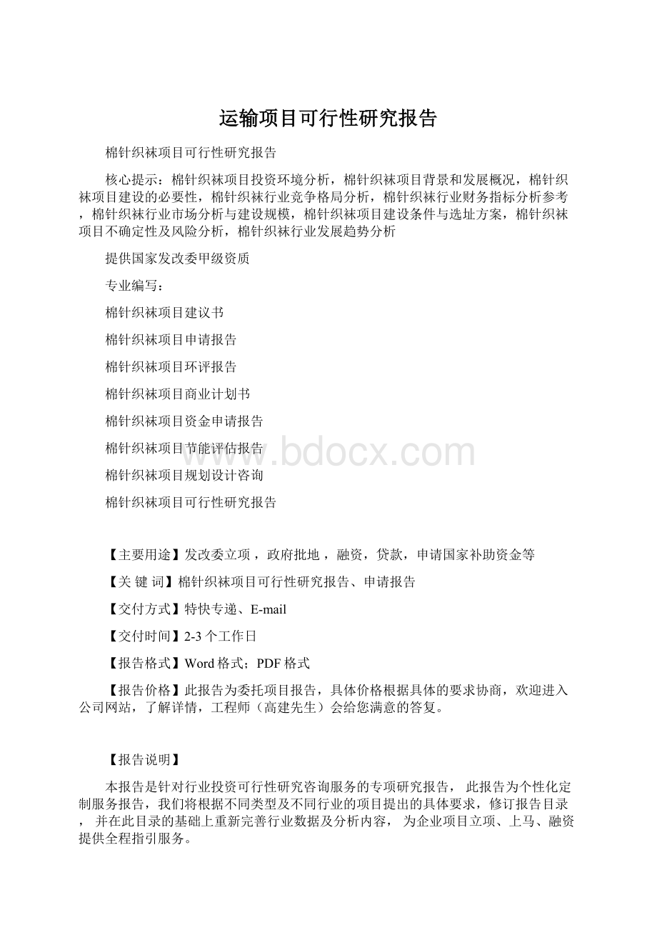 运输项目可行性研究报告Word格式.docx