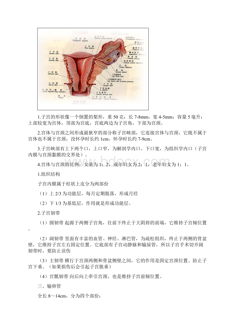 执业医妇产科大苗老师笔记精.docx_第2页