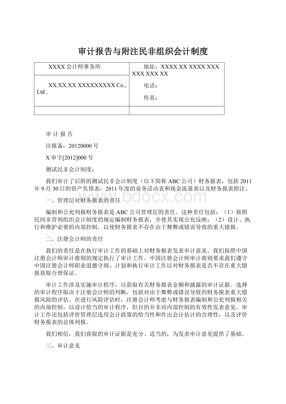 审计报告与附注民非组织会计制度.docx