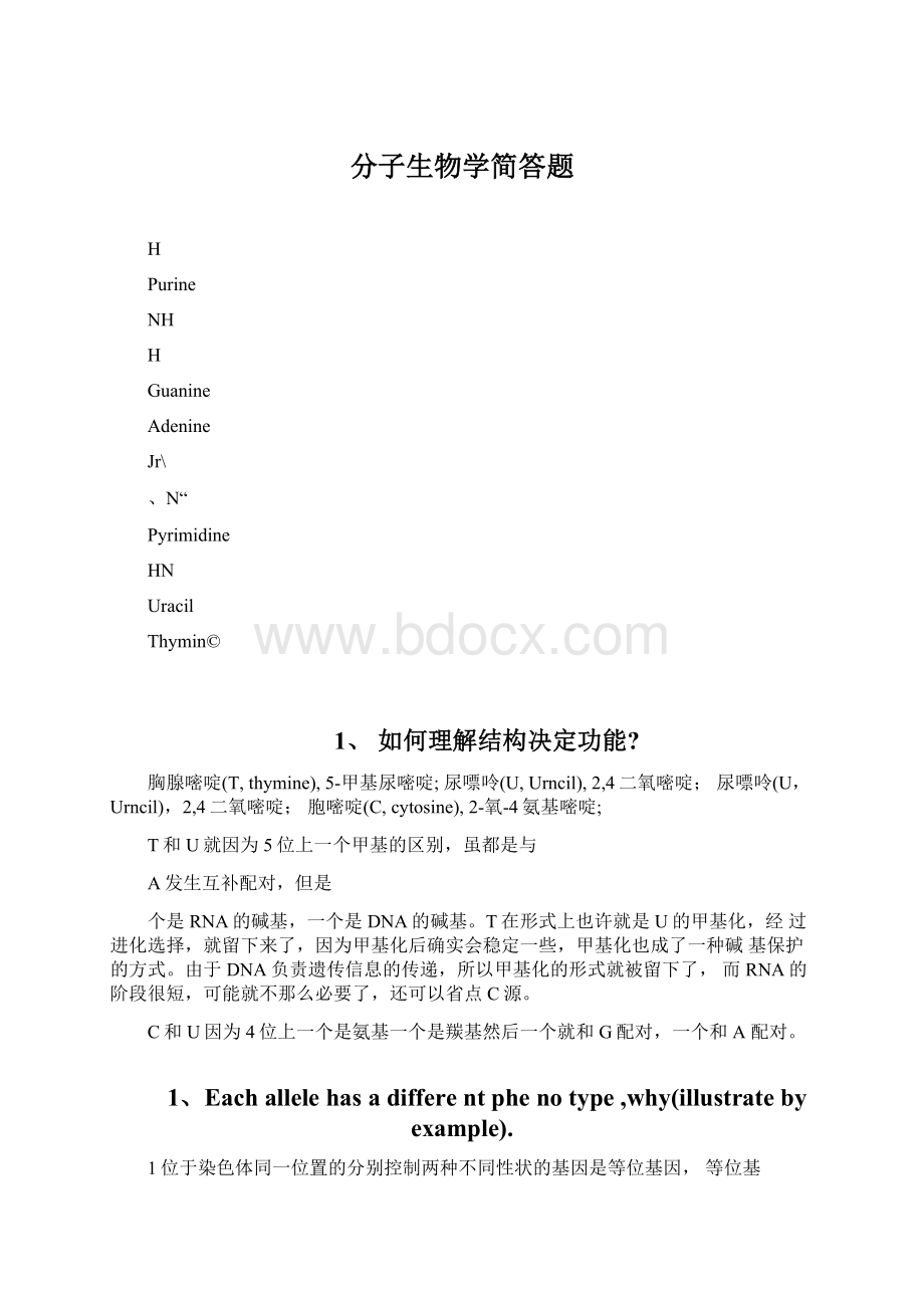 分子生物学简答题.docx_第1页