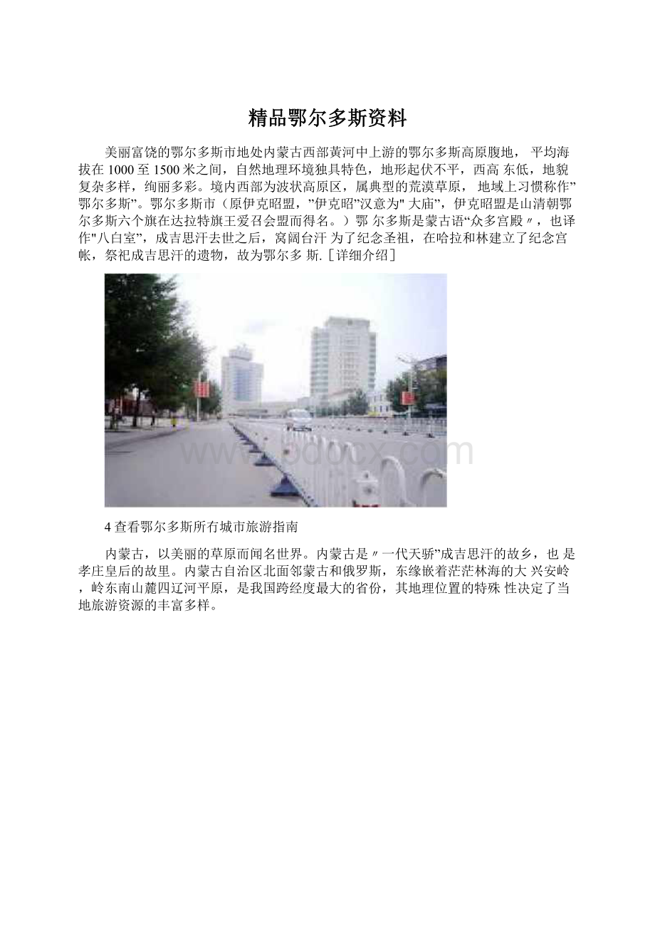 精品鄂尔多斯资料.docx