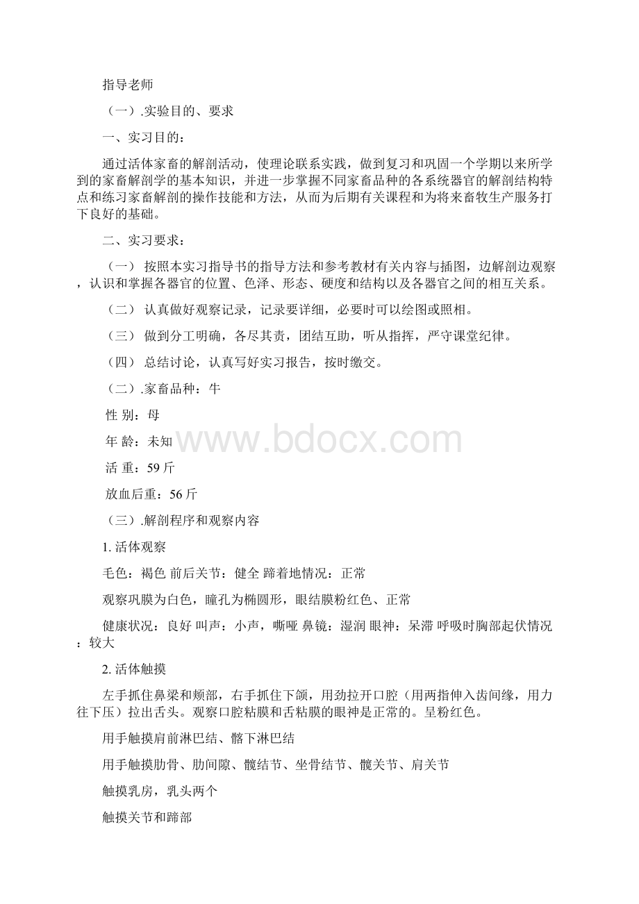 解剖牛实验报告记录.docx_第2页