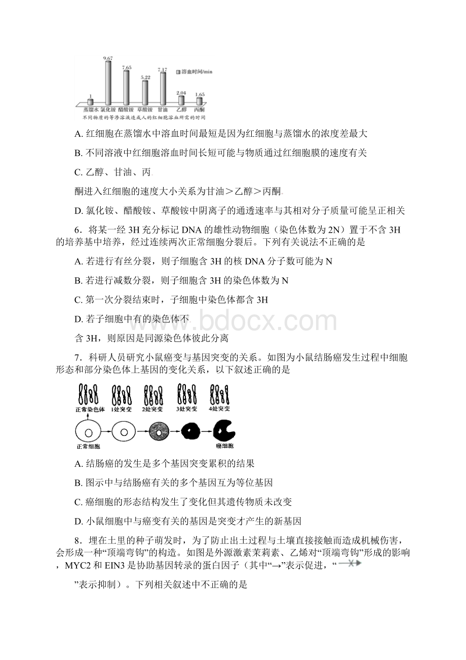 湖南省衡阳市高三生物第三次质检试题实验班Word文档格式.docx_第3页